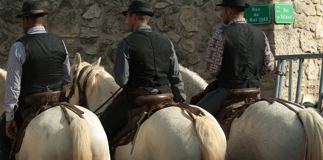 camargue-guardians