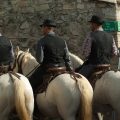 camargue-guardians