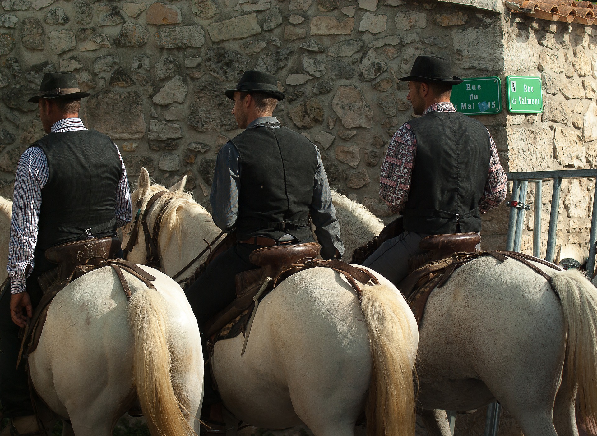 Mon séjour en Camargue