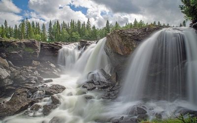 Cinq bonnes raisons d’aller en Suède