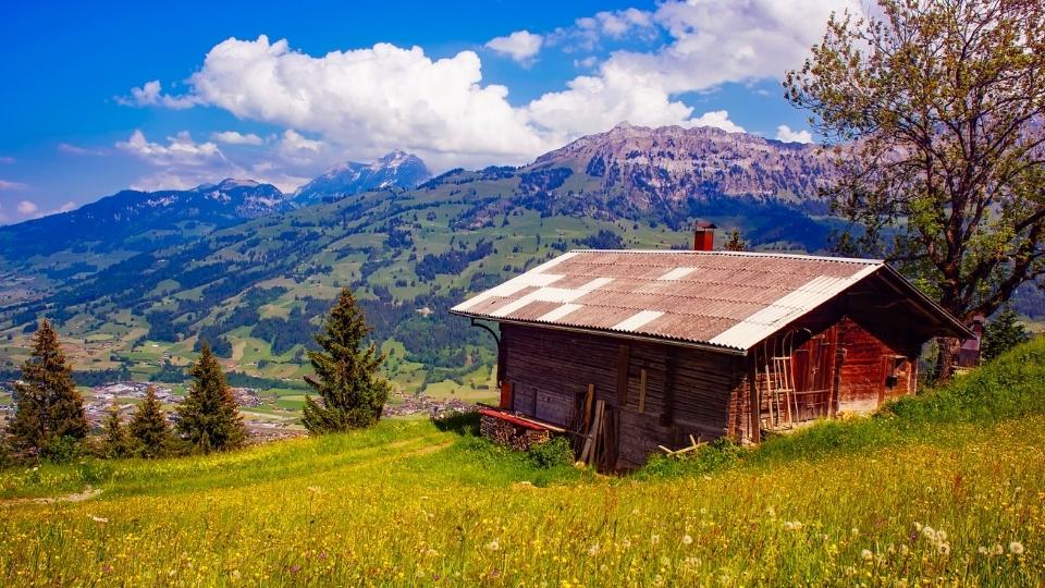 Pourquoi ne pas passer ses vacances d’été à la montagne ?